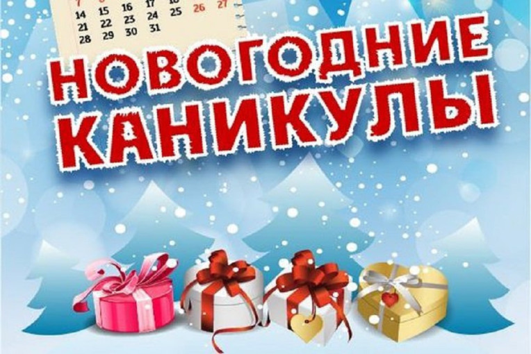 о проекте «Вологодские каникулы».